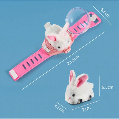 本日だけの、ぬくもり。 BunnyWatch