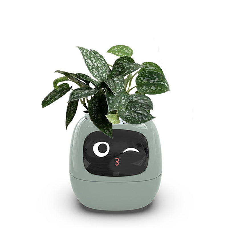 Florie™｜ひとり暮らしに、そっと寄り添う“植物のともだち”｜光る＆お世話がかんたんなスマート植木鉢🌿