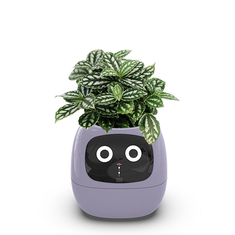 Florie™｜ひとり暮らしに、そっと寄り添う“植物のともだち”｜光る＆お世話がかんたんなスマート植木鉢🌿