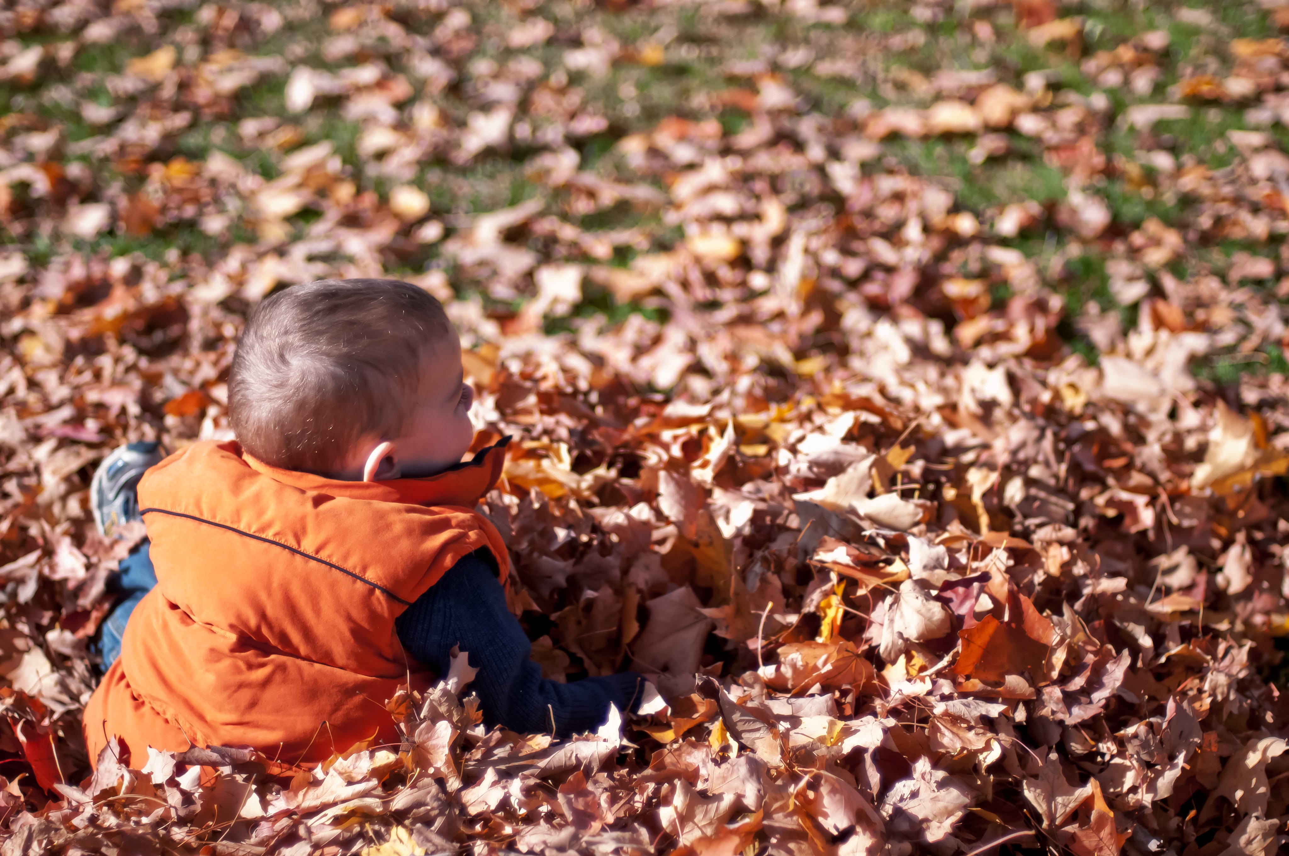 files/child-playing-in-fall-leaves.jpg