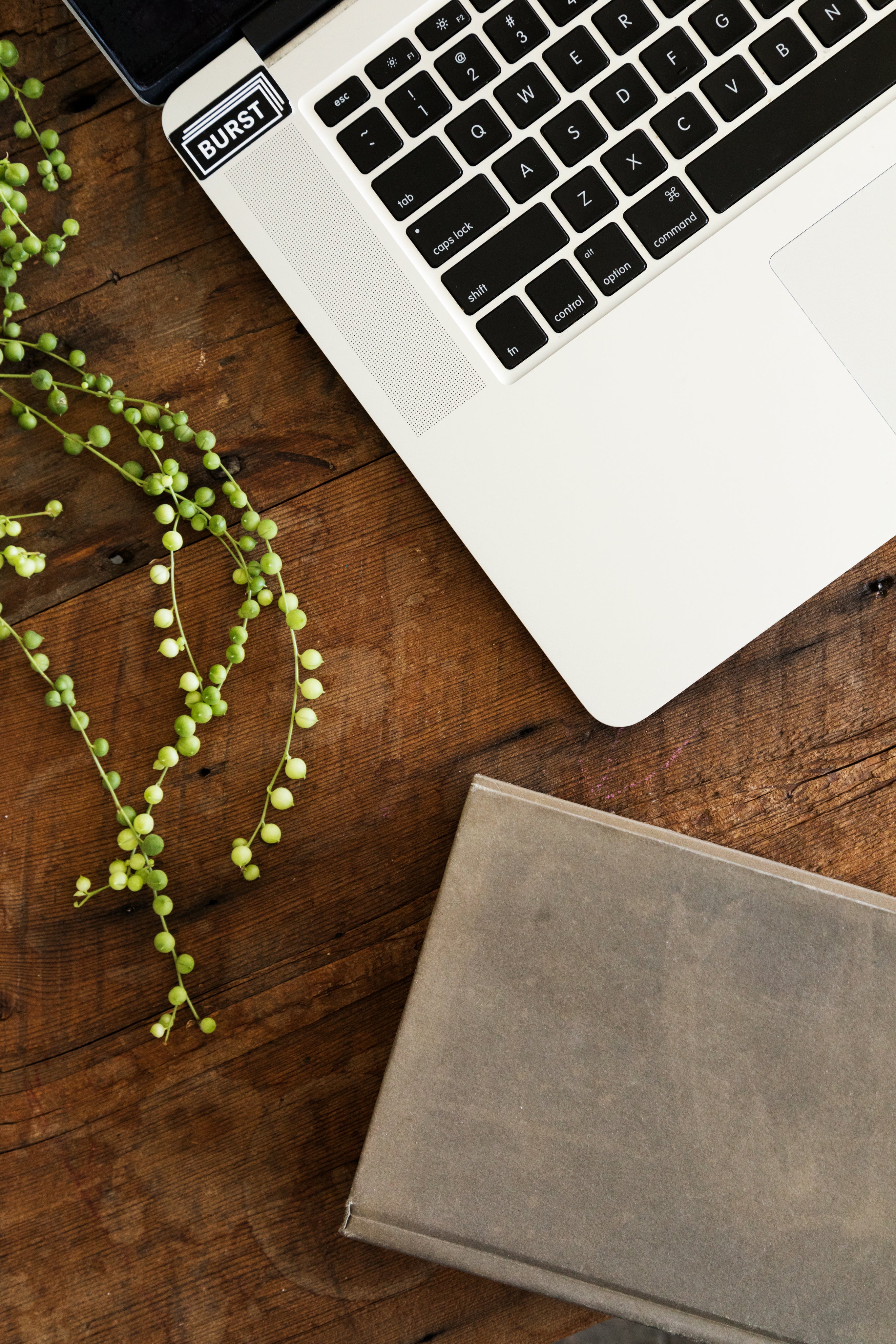 files/laptop-book-and-plant.jpg