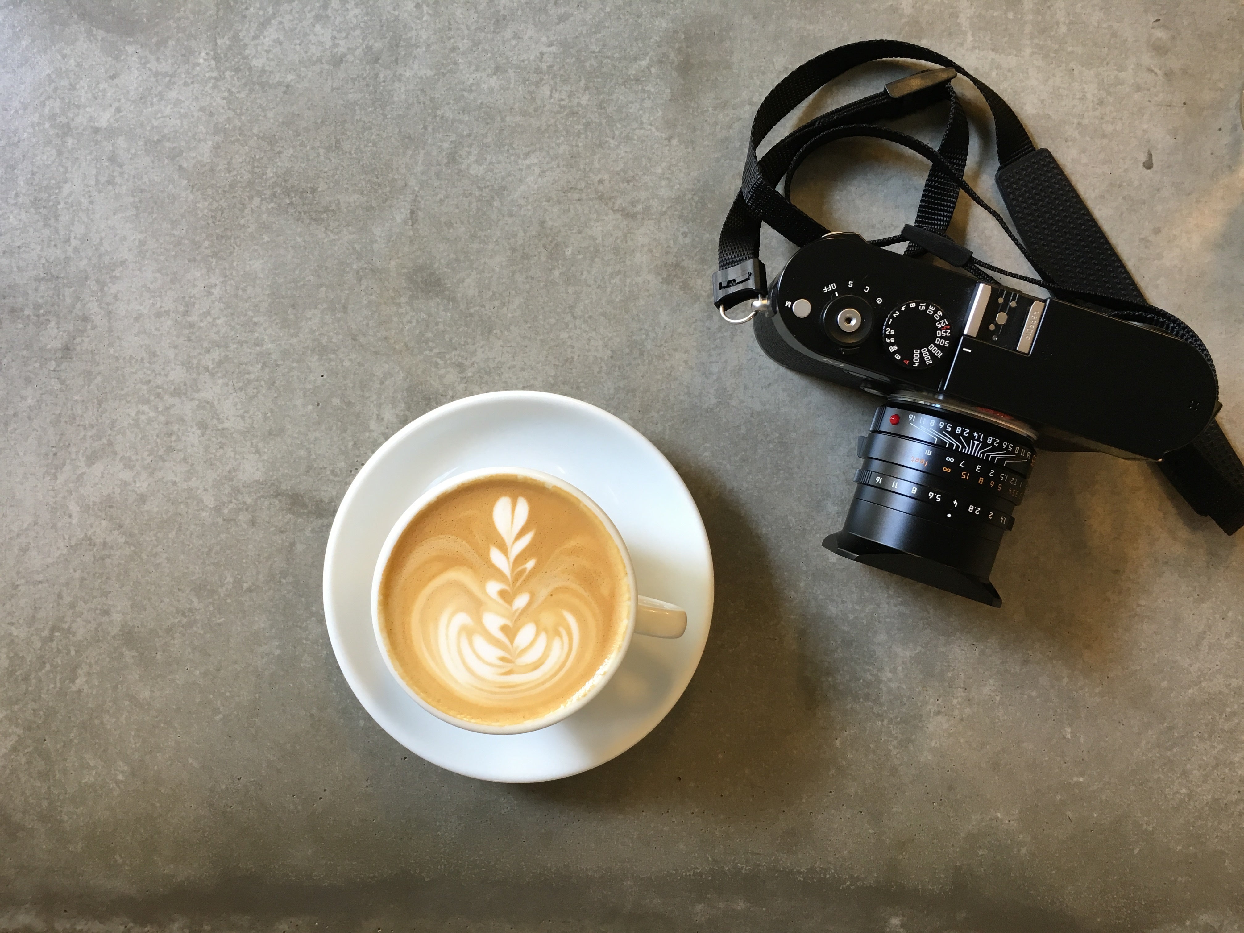 files/lenses-lattes.jpg