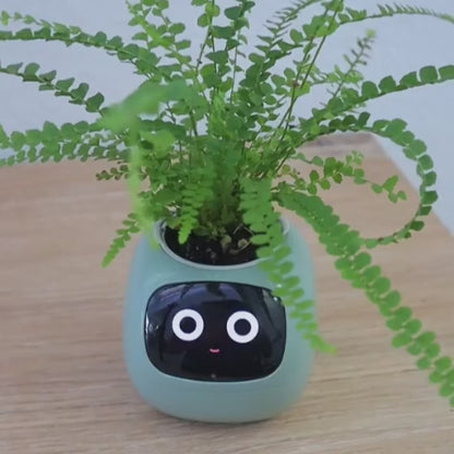 Florie™｜ひとり暮らしに、そっと寄り添う“植物のともだち”｜光る＆お世話がかんたんなスマート植木鉢🌿