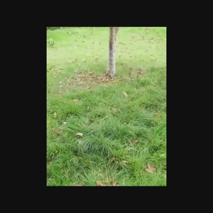 AirCamp™まるで宙に浮かぶベッド新感覚キャンプテント